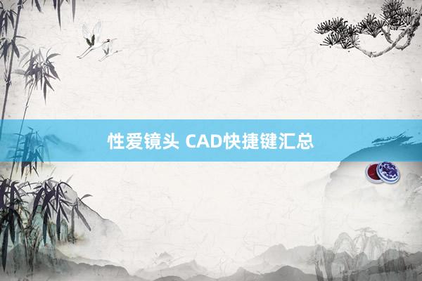 性爱镜头 CAD快捷键汇总