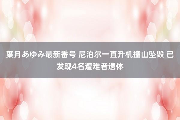 葉月あゆみ最新番号 尼泊尔一直升机撞山坠毁 已发现4名遭难者遗体