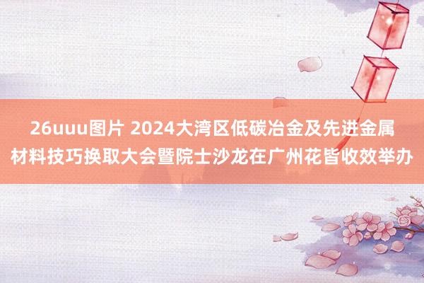 26uuu图片 2024大湾区低碳冶金及先进金属材料技巧换取大会暨院士沙龙在广州花皆收效举办