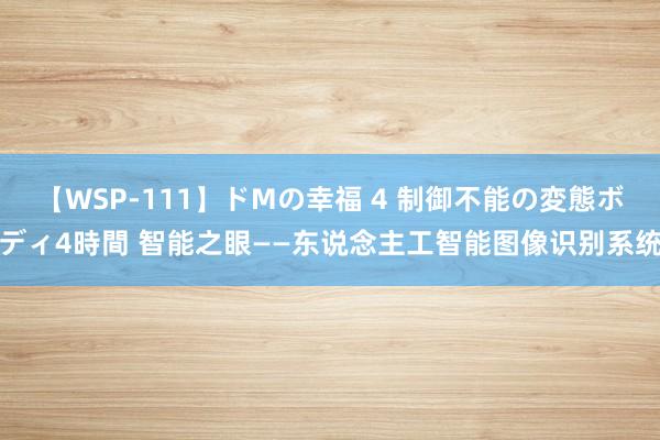 【WSP-111】ドMの幸福 4 制御不能の変態ボディ4時間 智能之眼——东说念主工智能图像识别系统