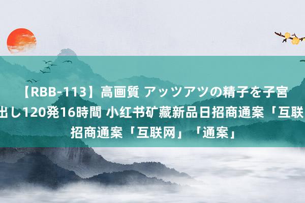 【RBB-113】高画質 アッツアツの精子を子宮に孕ませ中出し120発16時間 小红书矿藏新品日招商通案「互联网」「通案」