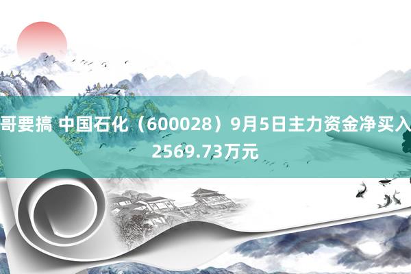 哥要搞 中国石化（600028）9月5日主力资金净买入2569.73万元