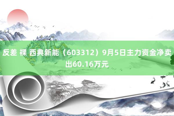 反差 裸 西典新能（603312）9月5日主力资金净卖出60.16万元