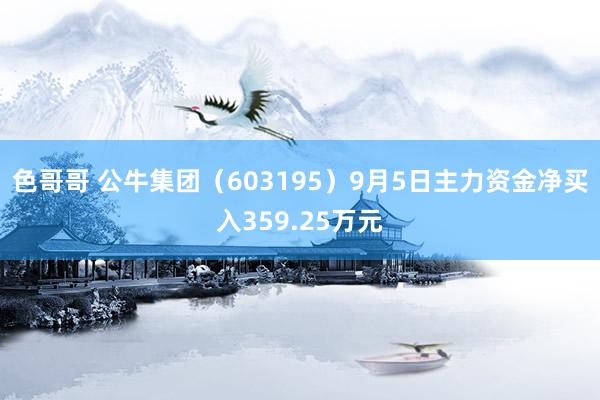 色哥哥 公牛集团（603195）9月5日主力资金净买入359.25万元