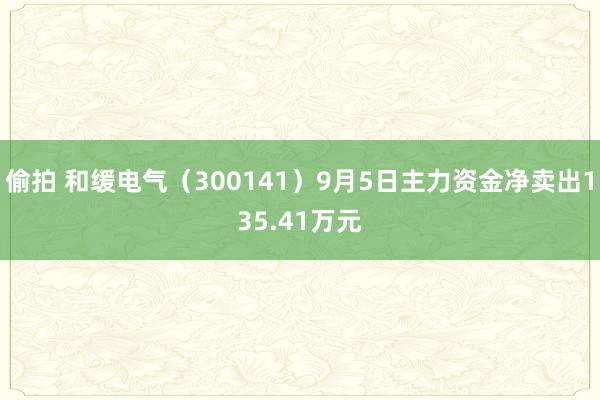 偷拍 和缓电气（300141）9月5日主力资金净卖出135.41万元