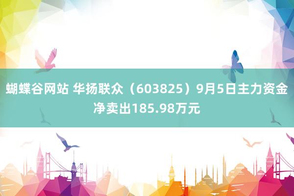 蝴蝶谷网站 华扬联众（603825）9月5日主力资金净卖出185.98万元