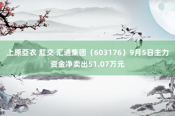 上原亞衣 肛交 汇通集团（603176）9月5日主力资金净卖出51.07万元