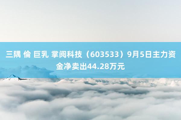 三隅 倫 巨乳 掌阅科技（603533）9月5日主力资金净卖出44.28万元