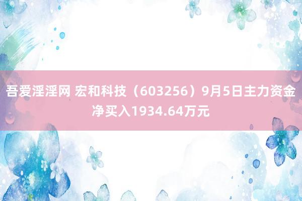 吾爱淫淫网 宏和科技（603256）9月5日主力资金净买入1934.64万元