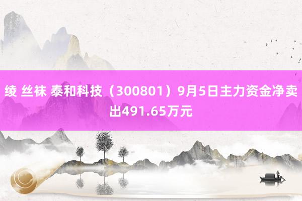 绫 丝袜 泰和科技（300801）9月5日主力资金净卖出491.65万元