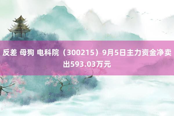 反差 母狗 电科院（300215）9月5日主力资金净卖出593.03万元