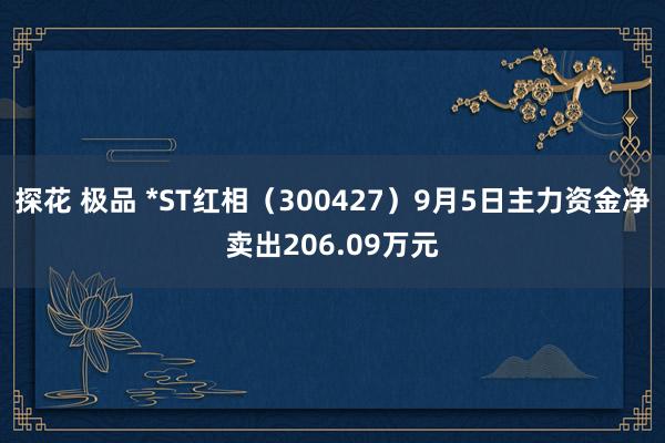 探花 极品 *ST红相（300427）9月5日主力资金净卖出206.09万元