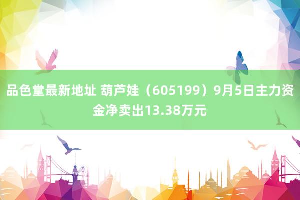 品色堂最新地址 葫芦娃（605199）9月5日主力资金净卖出13.38万元