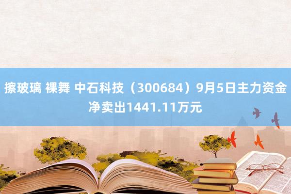 擦玻璃 裸舞 中石科技（300684）9月5日主力资金净卖出1441.11万元