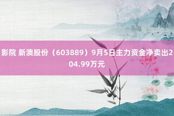 影院 新澳股份（603889）9月5日主力资金净卖出204.99万元