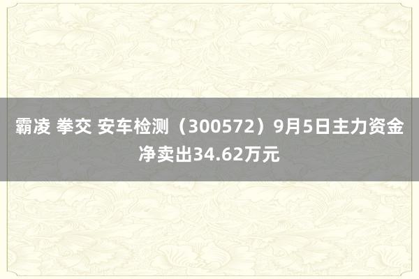 霸凌 拳交 安车检测（300572）9月5日主力资金净卖出34.62万元