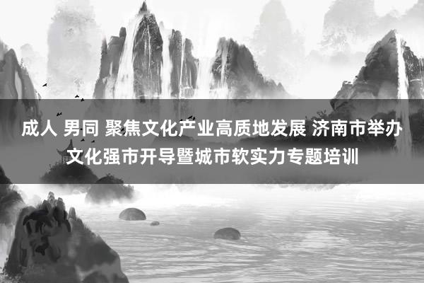 成人 男同 聚焦文化产业高质地发展 济南市举办文化强市开导暨城市软实力专题培训