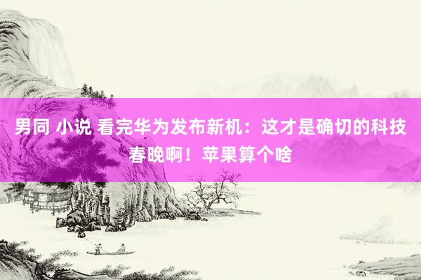 男同 小说 看完华为发布新机：这才是确切的科技春晚啊！苹果算个啥