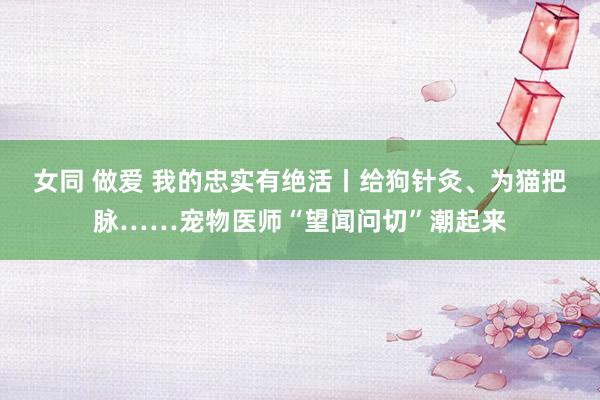 女同 做爱 我的忠实有绝活丨给狗针灸、为猫把脉……宠物医师“望闻问切”潮起来