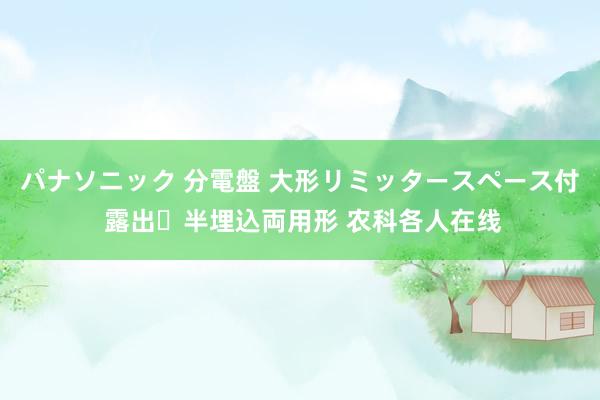 パナソニック 分電盤 大形リミッタースペース付 露出・半埋込両用形 农科各人在线